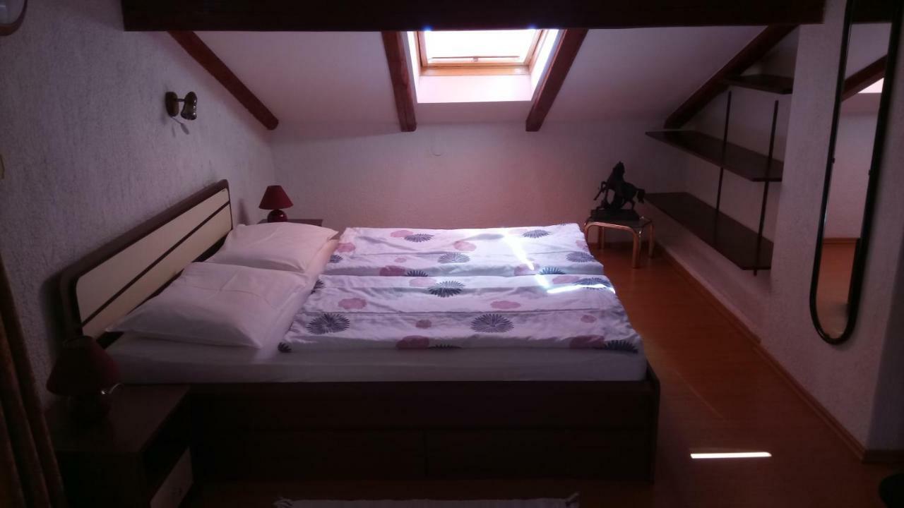 Apartment Carolina Tar-Vabriga